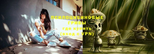 тгк Богданович
