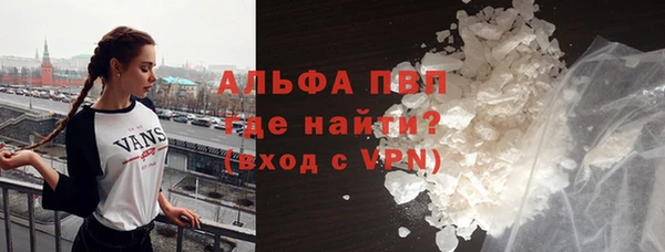 гидра Богородицк
