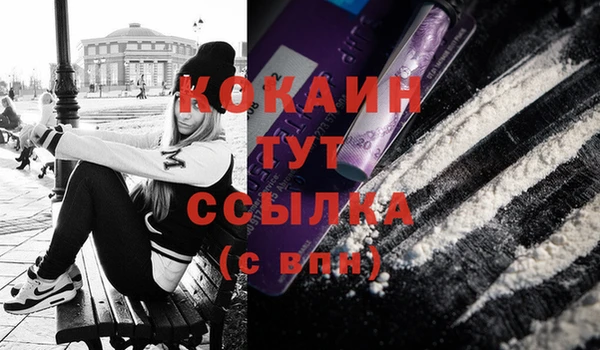 тгк Богданович