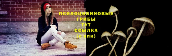 тгк Богданович