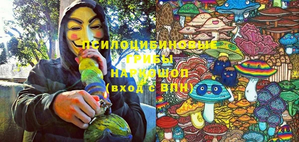 гидра Богородицк