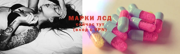 гидра Богородицк