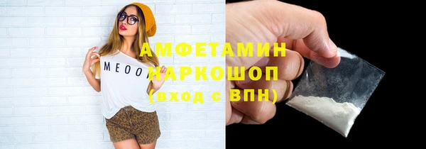 гидра Богородицк
