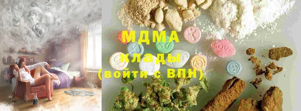 гидра Богородицк