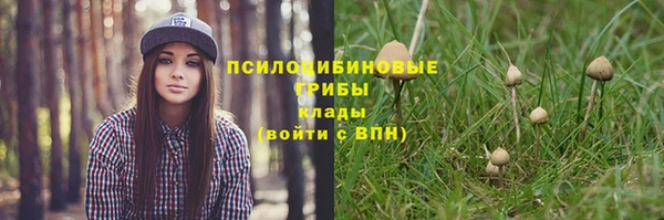 гидра Богородицк