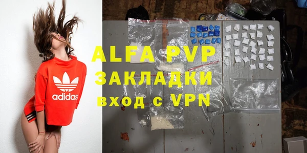 гидра Богородицк