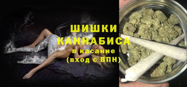 гидра Богородицк